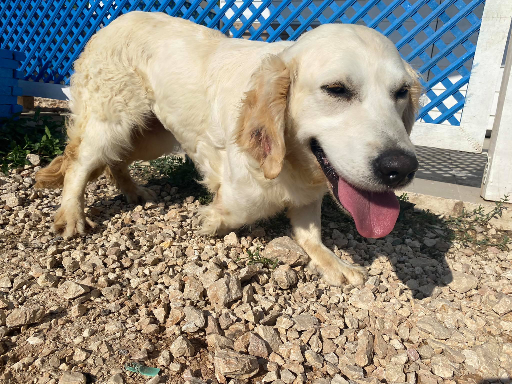 Gracie (fka Patricia)